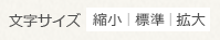 文字サイズの変更