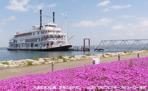 大津なぎさ公園　芝桜とミシガン　（公社）びわこビジターズビューロー提供